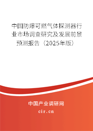 中國防爆可燃氣體探測器行業市場調查研究及發展前景預測報告（2025年版）
