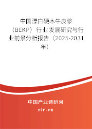 中國漂白硬木牛皮漿（BEKP）行業發展研究與行業前景分析報告（2024-2030年）