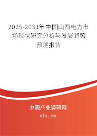 2025-2031年中國山西電力市場現狀研究分析與發展趨勢預測報告