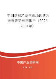 中國溶解乙炔氣市場現狀及未來走勢預測報告（2025-2031年）