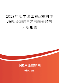 2023年版中國工程起重機市場現(xiàn)狀調(diào)研與發(fā)展前景趨勢分析報告