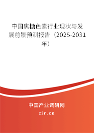 中國焦糖色素行業現狀與發展前景預測報告（2025-2031年）