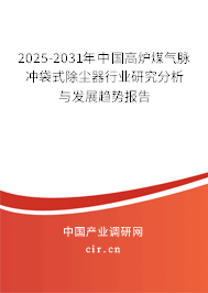 2025-2031年中國(guó)高爐煤氣脈沖袋式除塵器行業(yè)研究分析與發(fā)展趨勢(shì)報(bào)告