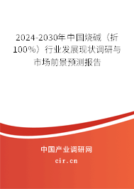 2024-2030年中國燒堿（折100％）行業發展現狀調研與市場前景預測報告