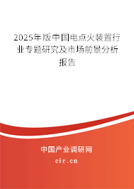 2025年版中國電點火裝置行業專題研究及市場前景分析報告