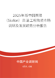 2025年版中國賽?。⊿ialon）高溫工程陶瓷市場調研及發展趨勢分析報告