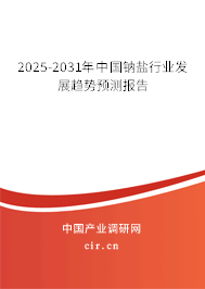 2025-2031年中國鈉鹽行業發展趨勢預測報告