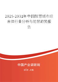2025-2031年中國智慧城市綜合體行業分析與前景趨勢報告