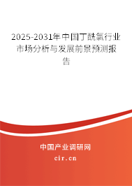 2025-2031年中國丁酰氯行業市場分析與發展前景預測報告