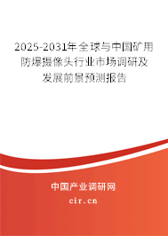 2025-2031年全球與中國礦用防爆攝像頭行業(yè)市場調(diào)研及發(fā)展前景預測報告