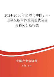 2024-2030年全球與中國(guó)2'-F-亞磷酰胺單體發(fā)展現(xiàn)狀及前景趨勢(shì)分析報(bào)告