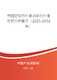 中國定型劑行業調研與行業前景分析報告（2024-2030年）