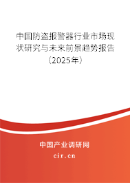 中國防盜報(bào)警器行業(yè)市場現(xiàn)狀研究與未來前景趨勢報(bào)告（2024年）
