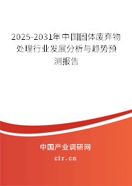 中國固體廢棄物處理發(fā)展現(xiàn)狀分析與趨勢預(yù)測報(bào)告（2025-2031年）