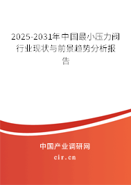 2025-2031年中國最小壓力閥行業現狀與前景趨勢分析報告