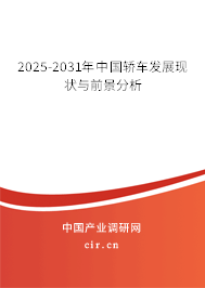 2025-2031年中國(guó)轎車(chē)發(fā)展現(xiàn)狀與前景分析