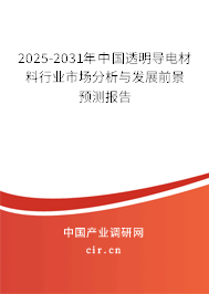 2025-2031年中國透明導電材料行業市場分析與發展前景預測報告
