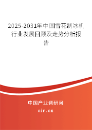 2024-2030年中國(guó)雪花制冰機(jī)行業(yè)發(fā)展回顧及走勢(shì)分析報(bào)告