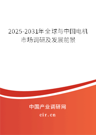 2025-2030年全球與中國電機市場調研及發展前景