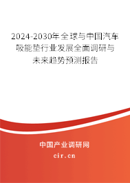 2024-2030年全球與中國汽車吸能墊行業發展全面調研與未來趨勢預測報告