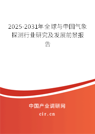 2025-2031年全球與中國氣象探測行業研究及發展前景報告