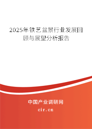 2025年鐵藝盆景行業發展回顧與展望分析報告