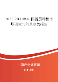 2025-2031年中國番茄種植市場研究與前景趨勢報告
