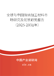 全球與中國微納加工材料市場研究及前景趨勢報告（2025-2031年）