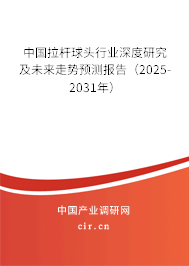 中國拉桿球頭行業深度研究及未來走勢預測報告（2025-2031年）