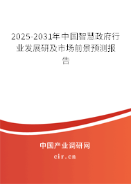 2025-2031年中國智慧政府行業(yè)發(fā)展研及市場前景預測報告