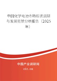 中國(guó)化學(xué)電池市場(chǎng)現(xiàn)狀調(diào)研與發(fā)展前景分析報(bào)告（2025年）
