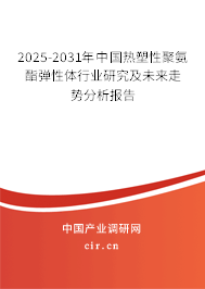 2025-2031年中國熱塑性聚氨酯彈性體行業研究及未來走勢分析報告