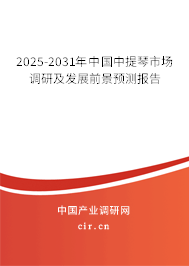 2024-2030年中國中提琴市場調研及發展前景預測報告