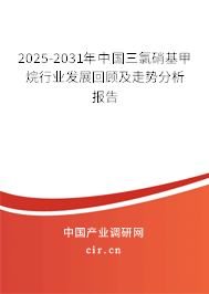 2024-2030年中國三氯硝基甲烷行業發展回顧及走勢分析報告