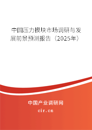 中國壓力模塊市場調研與發展前景預測報告（2024年）