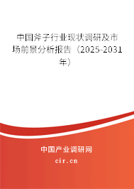 中國斧子行業現狀調研及市場前景分析報告（2024-2030年）