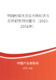 中國粉碎洗滌鹽市場現(xiàn)狀與前景趨勢預(yù)測報告（2025-2031年）
