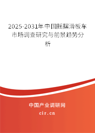 2025-2031年中國搖擺滑板車市場調查研究與前景趨勢分析