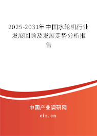 2024-2030年中國(guó)水輪機(jī)行業(yè)發(fā)展回顧及發(fā)展走勢(shì)分析報(bào)告