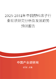 2025-2031年中國塑料席子行業現狀研究分析及發展趨勢預測報告