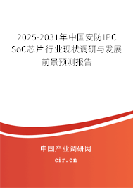 2025-2031年中國安防IPC SoC芯片行業現狀調研與發展前景預測報告