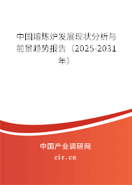 中國熔煉爐發(fā)展現(xiàn)狀分析與前景趨勢報告（2025-2031年）