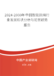 2024-2030年中國智能跳繩行業發展現狀分析與前景趨勢報告