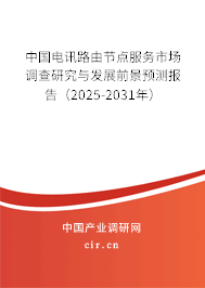 中國電訊路由節點服務市場調查研究與發展前景預測報告（2025-2031年）