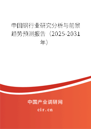 中國鋼行業(yè)研究分析與前景趨勢預(yù)測報(bào)告（2025-2031年）