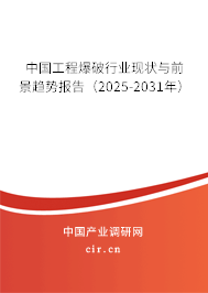 中國工程爆破行業現狀與前景趨勢報告（2025-2031年）