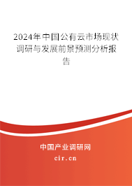 2024年中國公有云市場現狀調研與發展前景預測分析報告