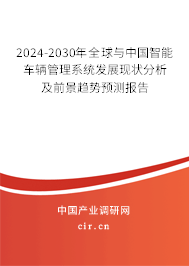 2024-2030年全球與中國智能車輛管理系統發展現狀分析及前景趨勢預測報告