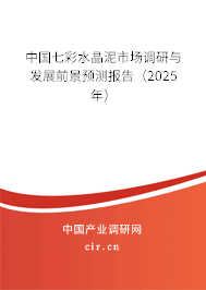 中國七彩水晶泥市場調研與發展前景預測報告（2025年）