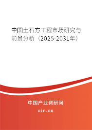 中國(guó)土石方工程市場(chǎng)研究與前景分析（2025-2031年）